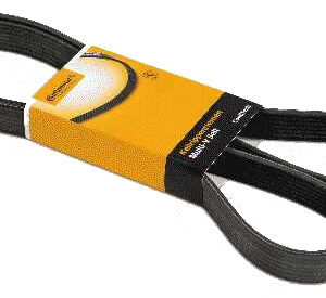 0231 | CORREA POLY V 6PK2264 CONTITECH